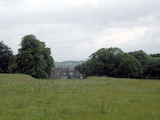 Foto perwakilan Shankill Castle, Paulstown, pada rekaman NIAH 12306002.