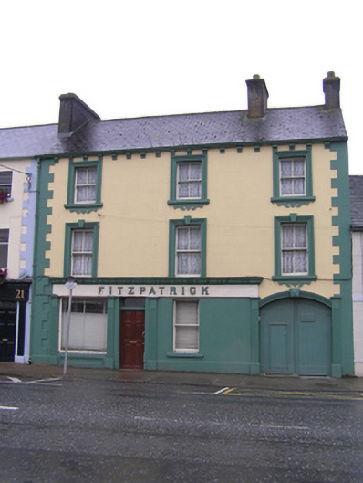 Foto perwakilan Fitzpatrick, Portlaoise, pada rekaman NIAH 12506194.
