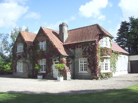 Foto perwakilan Saint Ronan's, Longford, pada rekaman NIAH 13001031.