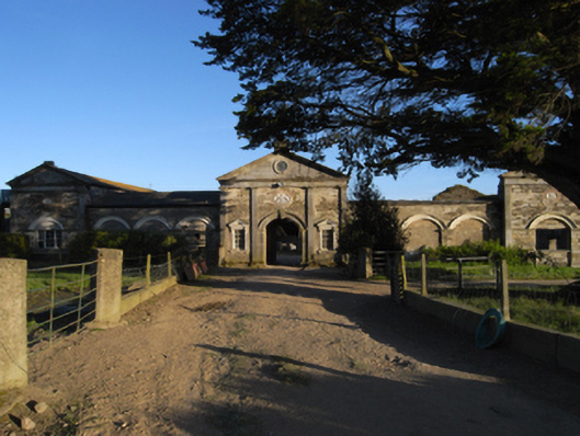 Foto perwakilan Castleboro House, CASTLEBORO DEMESNE, pada rekaman NIAH 15702504.