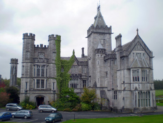 Foto perwakilan Adare Manor, Adare, pada rekaman NIAH 21824060.